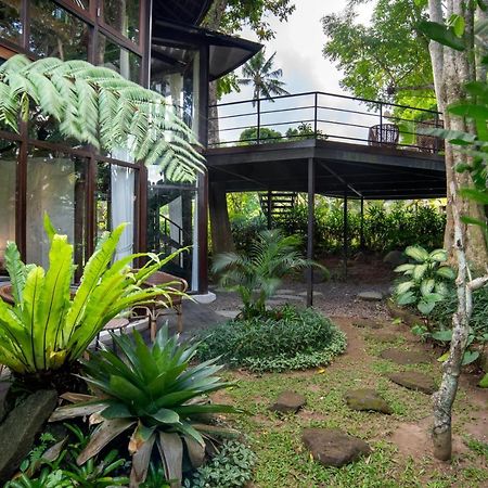 Green Tree House Ubud Dış mekan fotoğraf